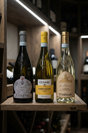 Trebbiano di Lugana in Flaschen auf Tisch
